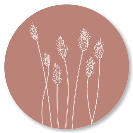 Witte graanaren op roze achtergrond in minimalistische lijnstijl als wanddecoratie